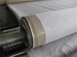 復(fù)合土工膜生產(chǎn)線