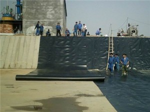 水產(chǎn)養(yǎng)殖防滲